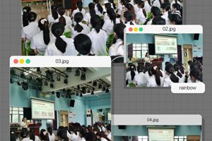幼教添新蕊，见习促成长——2020级学生企业见习掠影