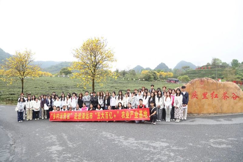 青春赴清远 实践助振兴｜教育与艺术学院学子走进英德开展乡村研学实践