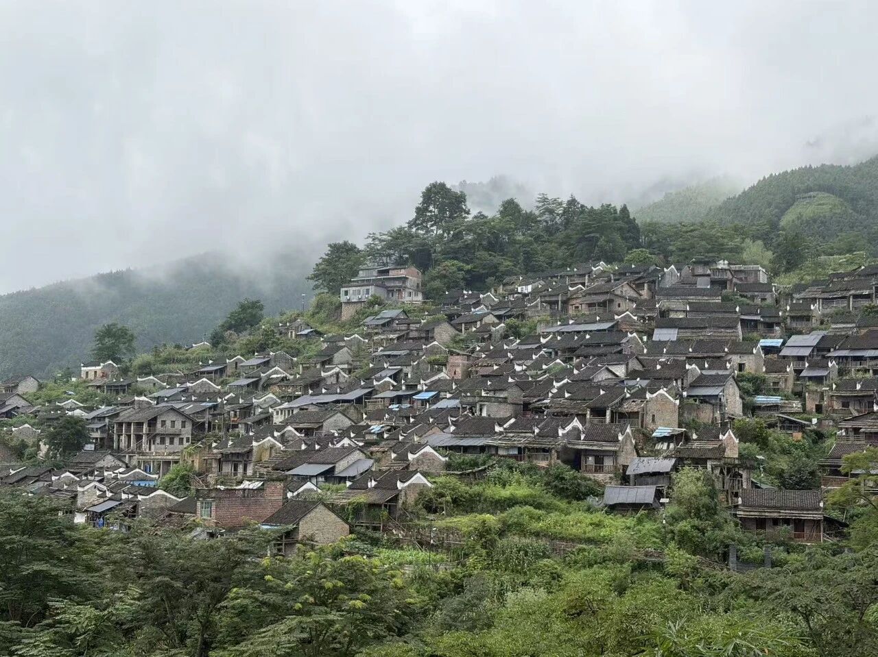 微信图片_2026-09-05_151958_159